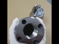 Komponen Sisipan Rongga Cetakan / Cetakan Die Casting Hitachi DAC